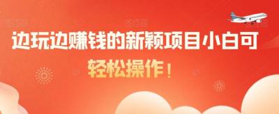 边玩边赚钱的新颖项目小白可轻松操作!