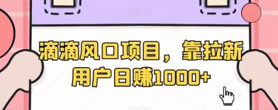 滴滴风口项目,靠拉新用户日赚1000+