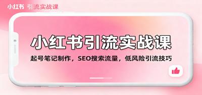 小红书引流实战课：起号笔记制作，SEO搜索流量，低风险引流技巧