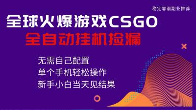 火爆游戏CSGO全自动捡漏,独家最新玩法,单个手机可操作,新手小白日入500+