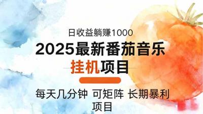 2025年最新番茄音乐人挂机项目，每天几分钟，月入1000＋，可矩阵，一台...