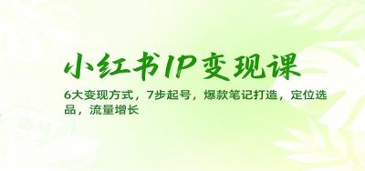 小红书IP变现课:6大变现方式,7步起号,爆款笔记打造,定位选品,流量增长