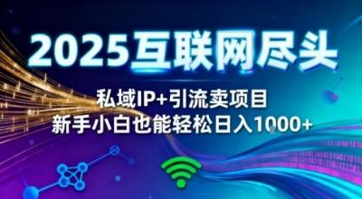 2025网创尽头王炸项目！私域IP+精准引流，新手小白在家躺賺日入1k，零经验也能上手【揭秘】