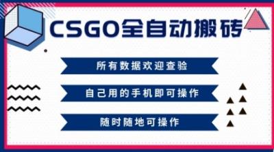 CSGO全自动搬砖,年底钱回家好项目,当天可拿到结果,新手小白轻松月入1W+【揭秘】