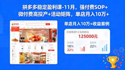 拼多多稳定盈利课-11月，强付费SOP+微付费高投产+活动矩阵，单店月入10万+