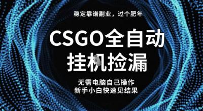 【稳定副业】全球最热门游戏CSGO全自动捡漏,最新玩法,新手小白日入5张+【揭秘】