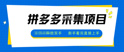 拼多多电商采集，一小时50+，操作简单，零投资