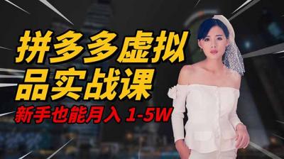 2025 拼多多虚拟品系统实战课,轻资产项目,可矩阵开工作室,新手也能...