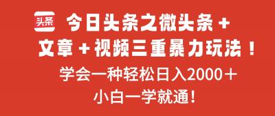 今日头条之微头条+文章+视频三重暴力玩法,学会一种轻松日入2000+,...