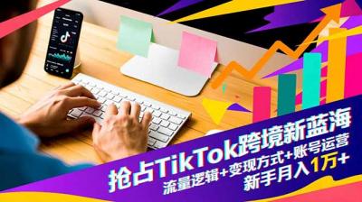 抢占TikTok跨境新蓝海:流量逻辑+变现方式+账号运营,新手月入1万+