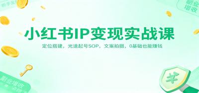 小红书IP变现实战课:定位搭建,光速起号SOP,文案拍摄,0基础也能赚钱