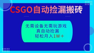 CSGO自动捡漏搬砖,当天操作当天见结果,无需了解游戏,包教包会包落地