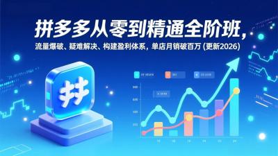 拼多多从零到精通全阶班，流量爆破、疑难解决，构建盈利体系，单店月销破百万(更新2026