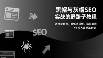 黑帽与灰帽SEO实战的野路子教程：泛目录秒收，蜘蛛池搭桥，霸屏截流，7天抢占首页暴利词