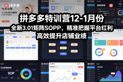 拼多多特训营12-1月份，全新3.01矩阵Sop，精准把握平台红利，高效提升店铺业绩