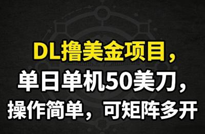 DL撸美金项目，单日单机50美刀，操作简单，可矩阵多开