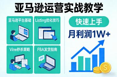 亚马逊运营实战教学，亚马逊平台+Listing优化+Vine秒杀+FBA发货等，快速上手，实现店铺月利润1W