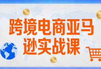 丝丝老师·跨境电商亚马逊实战课(更新2月)