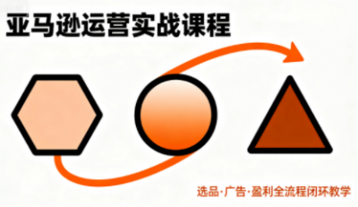 毕方电商·亚马逊全站会员课程(更新3月)