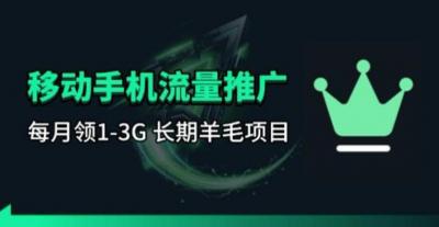 手机流量领取推广_每月一轮，刚需类的长期项目