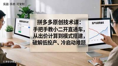 拼多多原创技术课:手把手教小二开直通车,从出价计算到模式搭建,破解低投产、冷启动难题