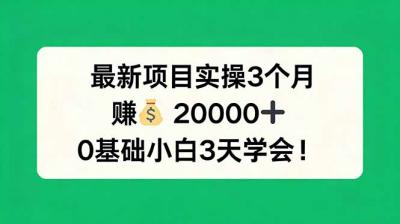 最新项目实操3个月，赚钱20000+，0基础小白3天学会！