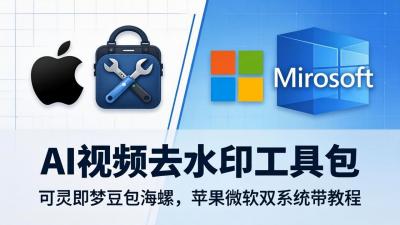 AI视频去水印工具包:可灵即梦豆包海螺,苹果微软双系统带教程