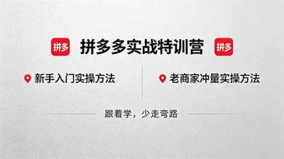 拼多多实战特训营(更新5月15