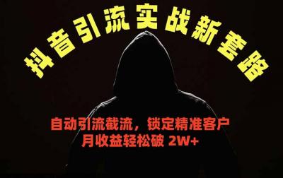 抖音引流实战新套路,挂机自动引流截流精准锁定客户,月收益破 2W+