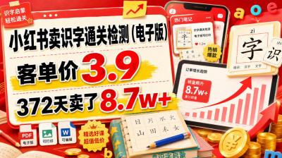 小红书卖识字通关检测(电子版),客单价3.9,372天卖了8.7w+