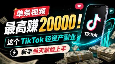 单条视频最高赚 20000!这个 TikTok 轻资产副业,新手当天就能上手