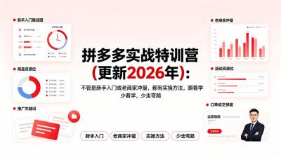 拼多多实战特训营(更新2026年