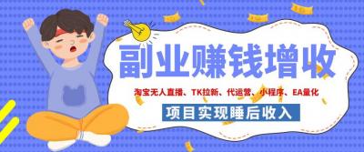 2026年多个真实落地副业项目,手把手带你搭建被动收入管道(淘宝无人直播、海外TK拉新、CSGO饰品交易、去水印小程序等)【揭秘】