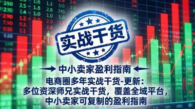 电商圈多年实战干货-更新2026:多位资深师兄实战干货/覆盖全域平台,中小卖家可复制的盈利指南