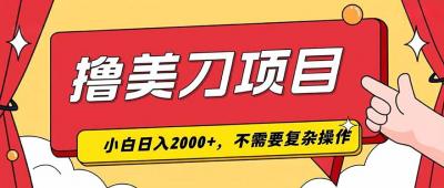 撸美刀，单日收入2000+，小白可做
