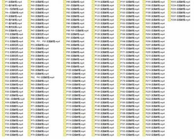 238个精美ppt案例保姆级实操教程:画册水准,每页一个视频教程,操作详细易懂!