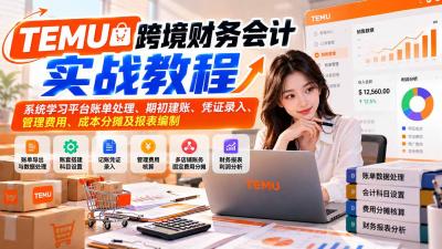 TEMU跨境财务会计实战教程：系统学习平台账单处理、期初建账、凭证录入、管理费用、成本分摊及报表编制