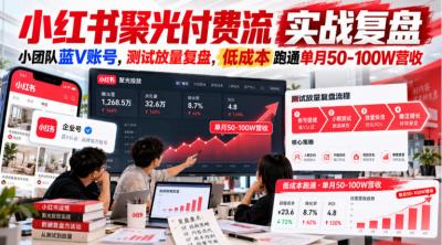 小红书聚光付费流实战复盘|小团队蓝V账号,测试放量复盘,低成本跑通单月50‑100W营收【文档】