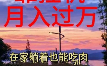 靠挂机，日入1000+，躺着也能吃肉，电脑手机都可挂