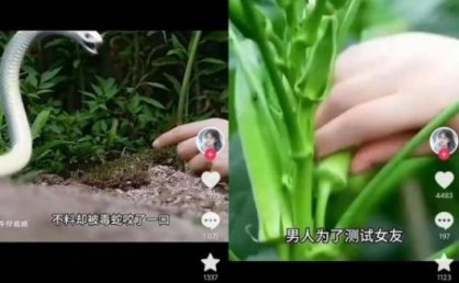 抖音卡章节搬运:短剧搬运术,百分百过抖,一比一搬运,只能安卓【揭秘】