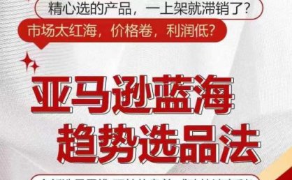 亚马逊蓝海趋势选法,全新选品思维,玩转信息差
