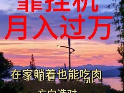 靠挂机，日入1000+，躺着也能吃肉，电脑手机都可挂