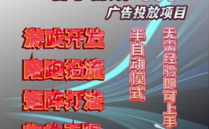 抖音小游戏广告推广项目,2025最新实测落地,单日收益300+