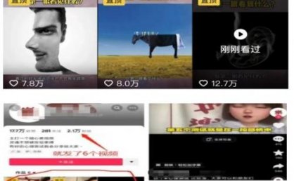 我靠抖音心理测试蓝海项目,日引500+粉丝,日入1000+,小白可操作,无需门槛(附3G素材)