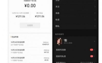 一条视频收益3000+,一条作品涨粉2000+,视频号流量爆炸·的秘籍