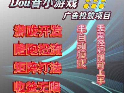 抖音小游戏广告推广项目，2025最新实测落地，单日收益300+