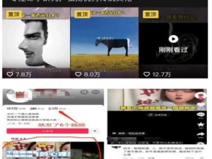 我靠抖音心理测试蓝海项目，日引500+粉丝，日入1000+，小白可操作，无需门槛（附3G素材）