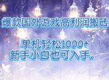 爆款国外游戏高利润搬砖项目,单机轻松1k+,新手小白也可入手【揭秘】