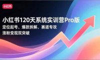 小红书120天系统实训营Pro版,定位起号、爆款拆解、赛道专攻,实现涨粉变现双突破