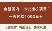全新国内小说挂G项目,多窗口无脑跑,一天轻松1k+,特别省心【揭秘】